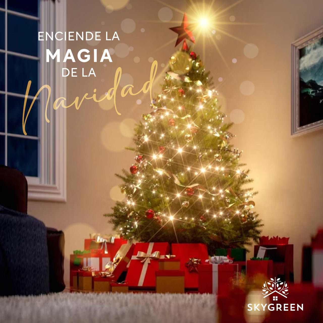 Kit Luces De Navidad 5 Pzs De 25 Mtrs Luz Blanca y Cálida