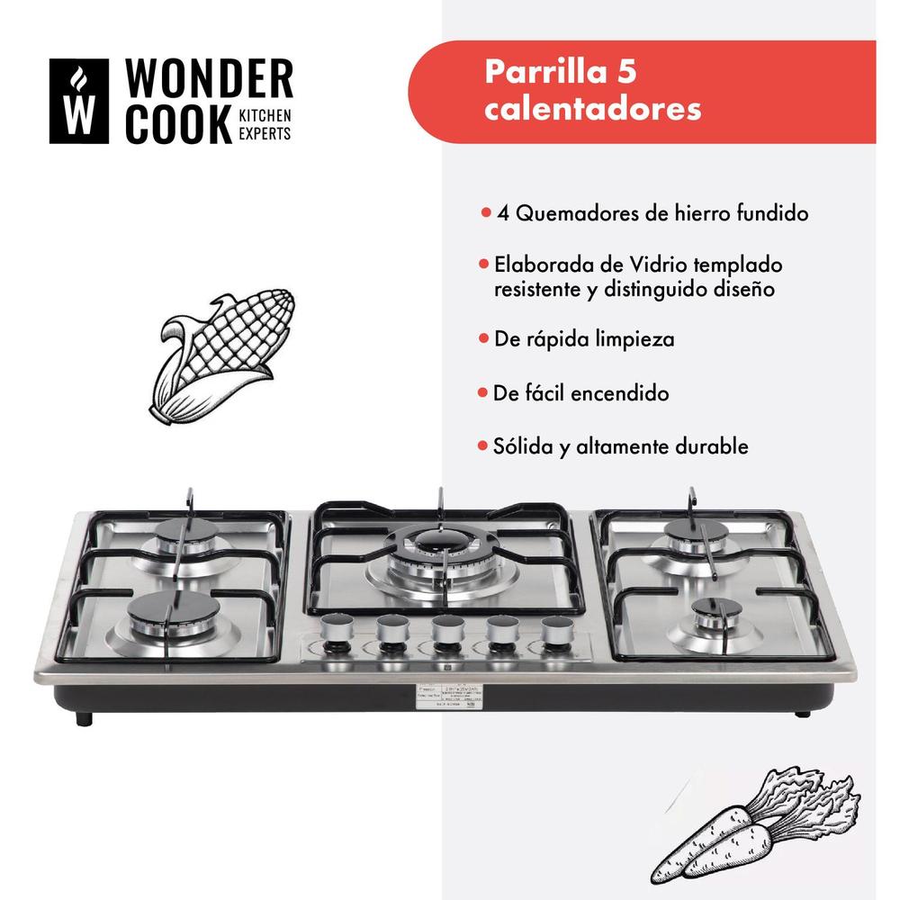 Parrilla Gas Aluminio 5 Quemadores Hierro 127v Empotrable