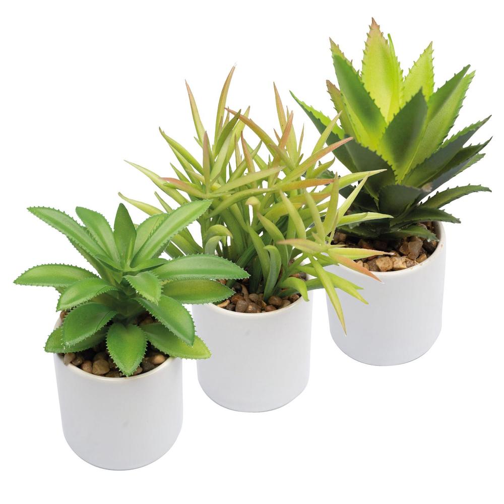 plantas de plastico pequeñas Decoración 3 Plantas Artificiales Pequeñas