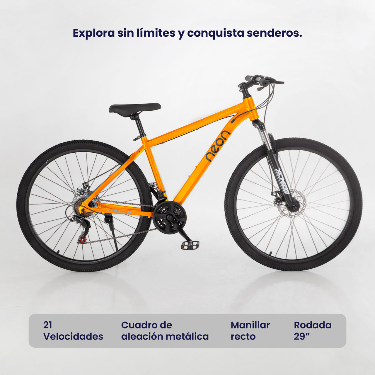 Bicicleta Montaña Rodada 29 21 Velocidades Bike Ligera