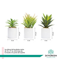 Thumbnail for Paquete De 3 Plantas Pequeñas Artificiales Decoracion Hogar