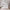 Base Cama Individual Abatible Blanca KingsHouse DesmontableBEDSIN1-BLA