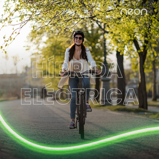 Bicicleta Eléctrica R29 Freno Disco Shimano 21 Vel AluminioETRAIL - 6B