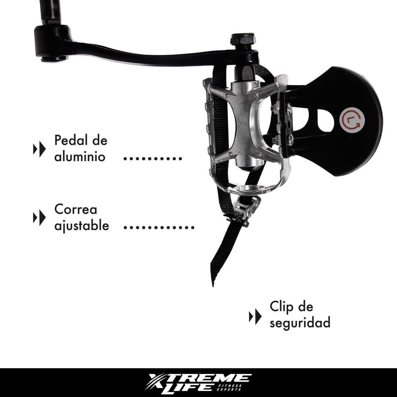 Bicicleta Spinning Indoor Fija 20 Kilos Profesional Cardio