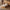 Colchoneta Individual Kingshouse | Memory Foam 12cm | En CajaKHCESP12SB