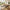 Comedor Mesa Extensible Rectangular 6 Sillas Madera ModernoDNGNITE6-MAD