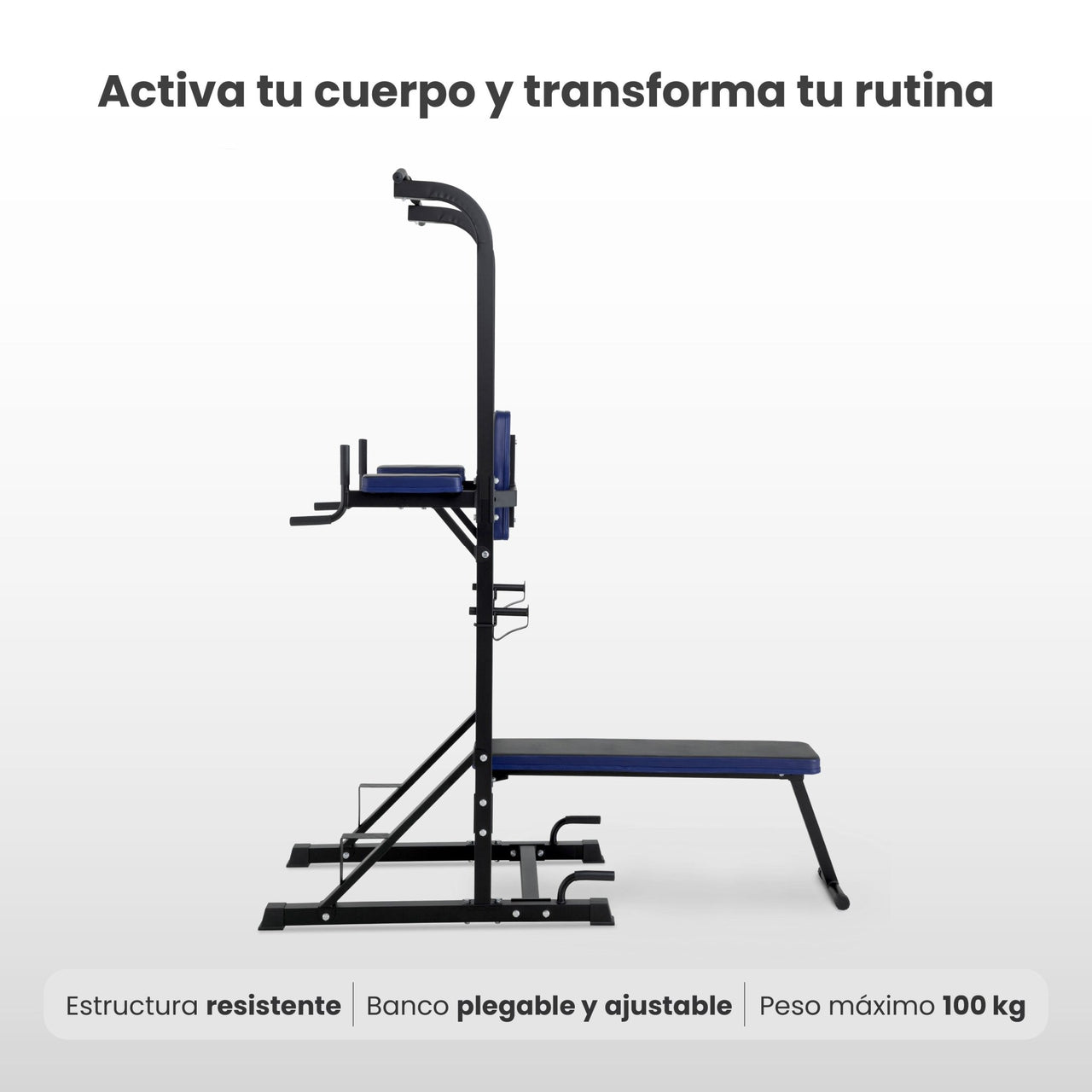 Estación Dominadas Banco Ejercicio Musculación Fitness Gym