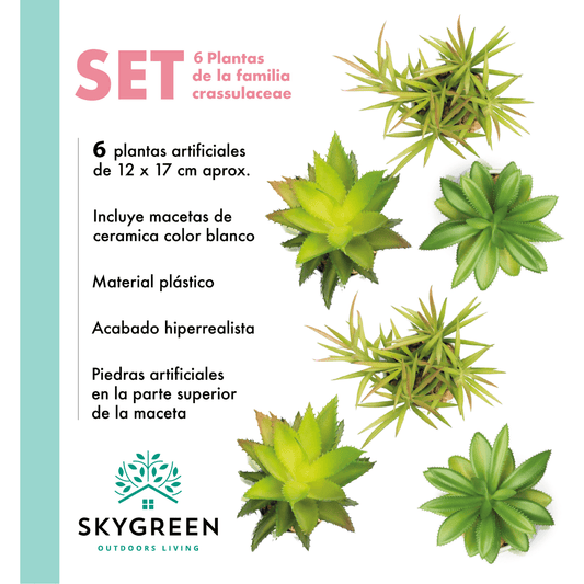 Paquete De 6 Plantas Pequeñas Artificiales Decoracion HogarSKYFCONT6