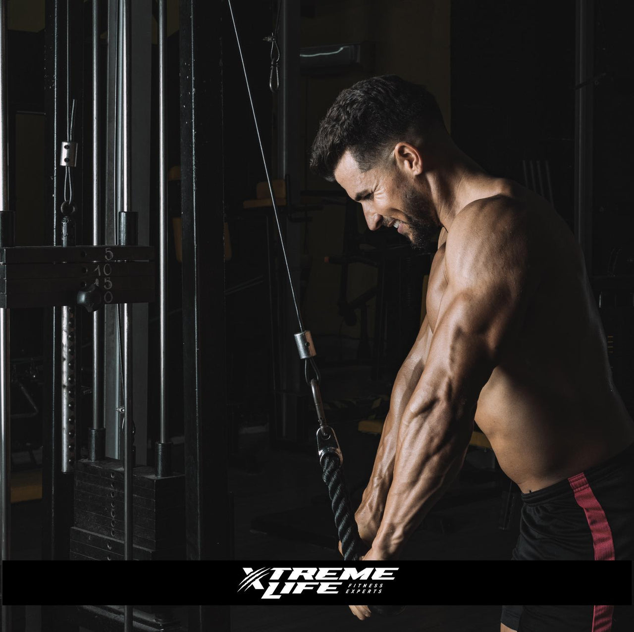 Polea Alta Remo Ajustable Con Agarre Para Banco Gimnasio