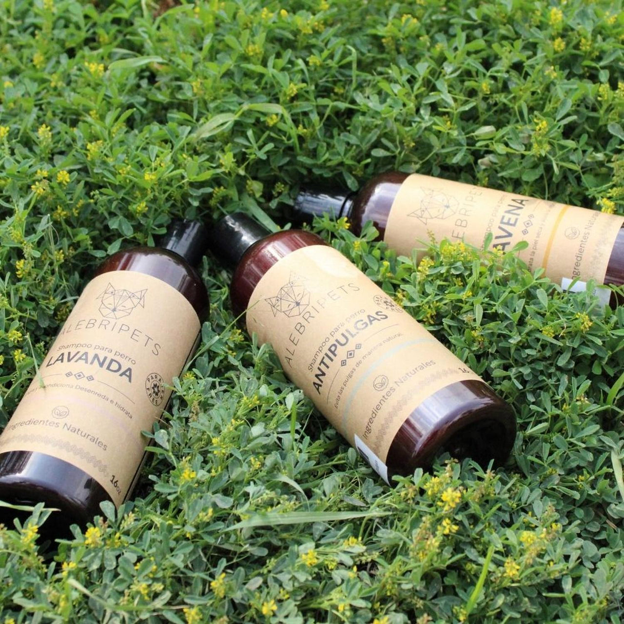 Shampoo Antipulgas Para Perro Libre De Sulfatos Y Parabenos